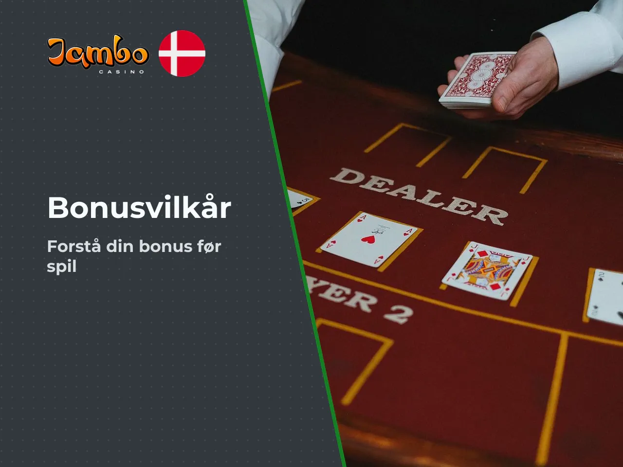 Hvad skal du kontrollere i bonusvilkårene