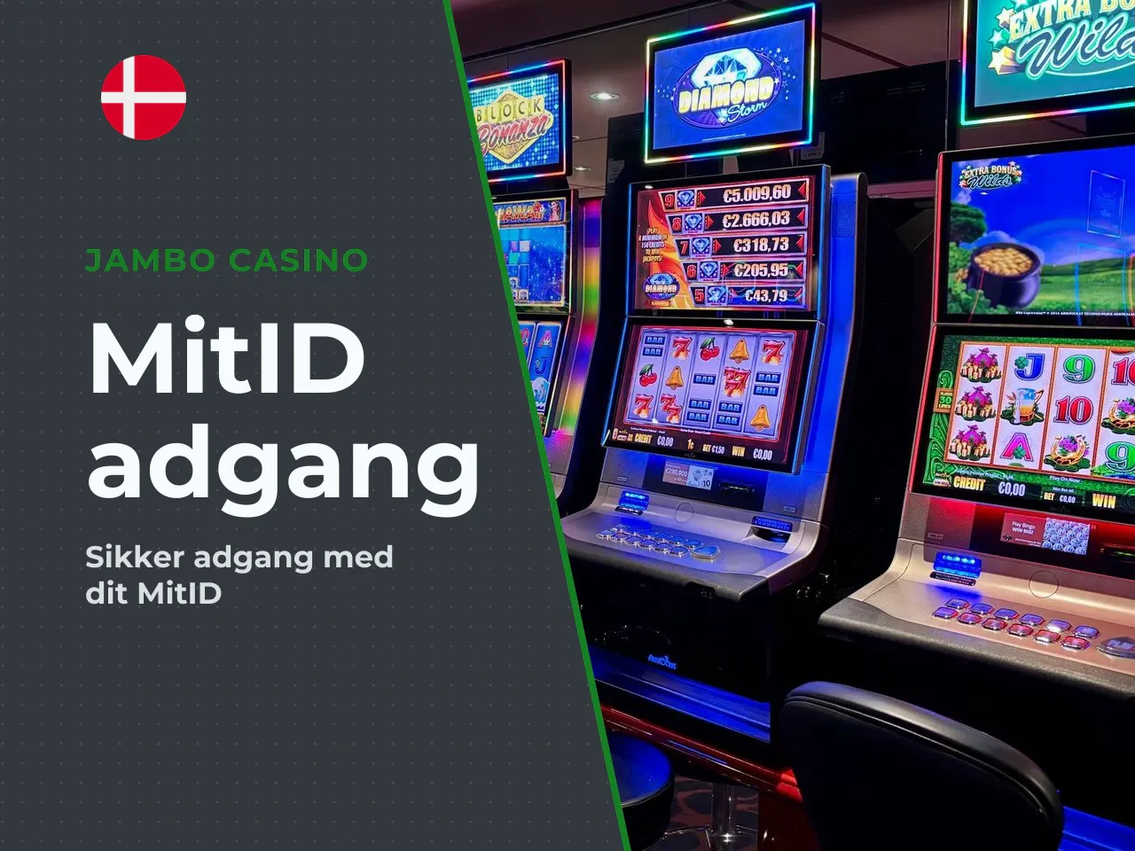 Sådan får du adgang i praksis