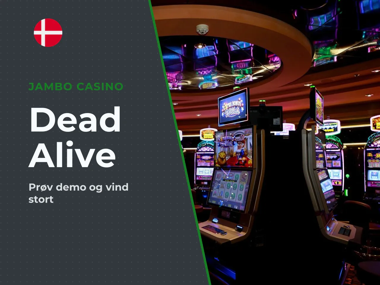 Dead or Alive slot demo, RTP