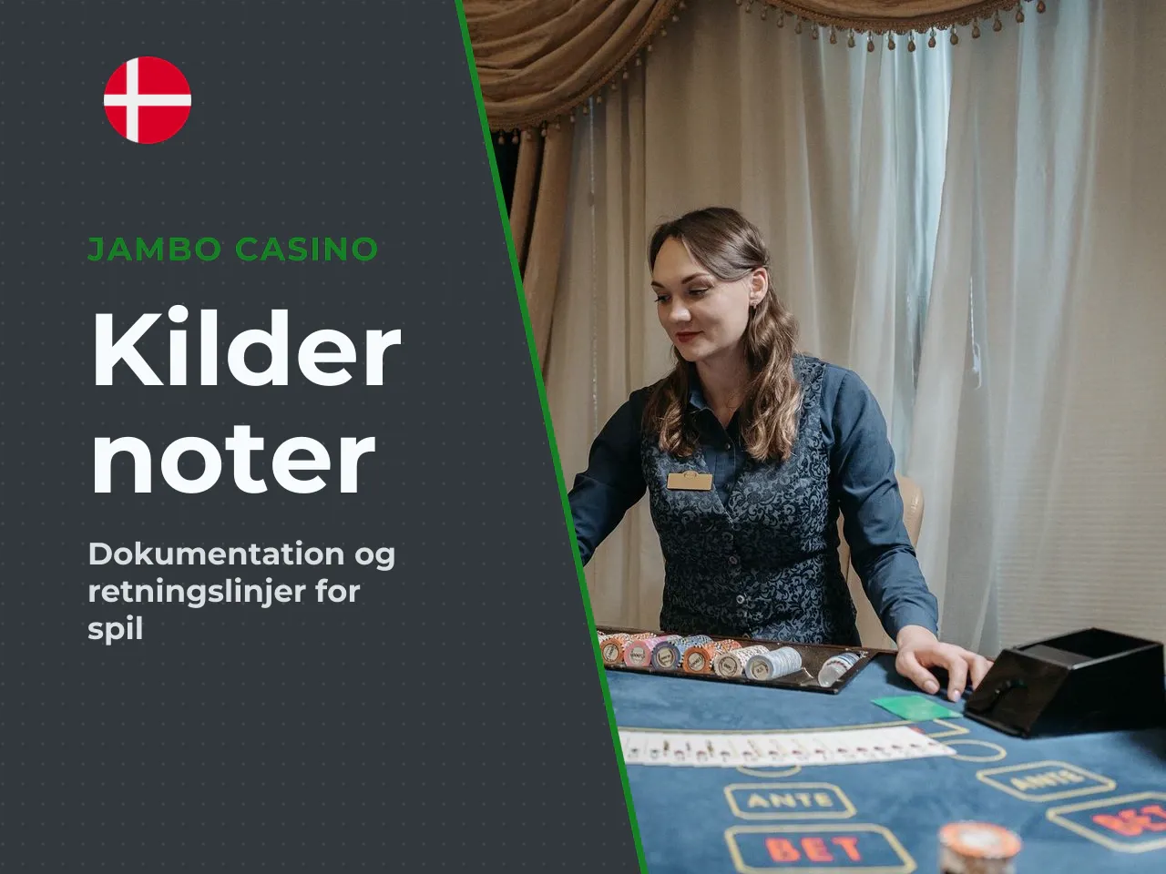 Bilag A kilder og noter