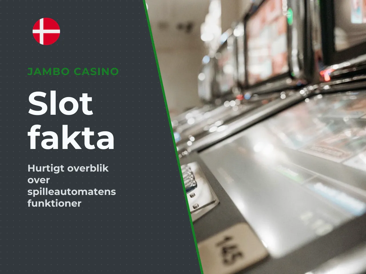 Nøglefakta på 30 sekunder