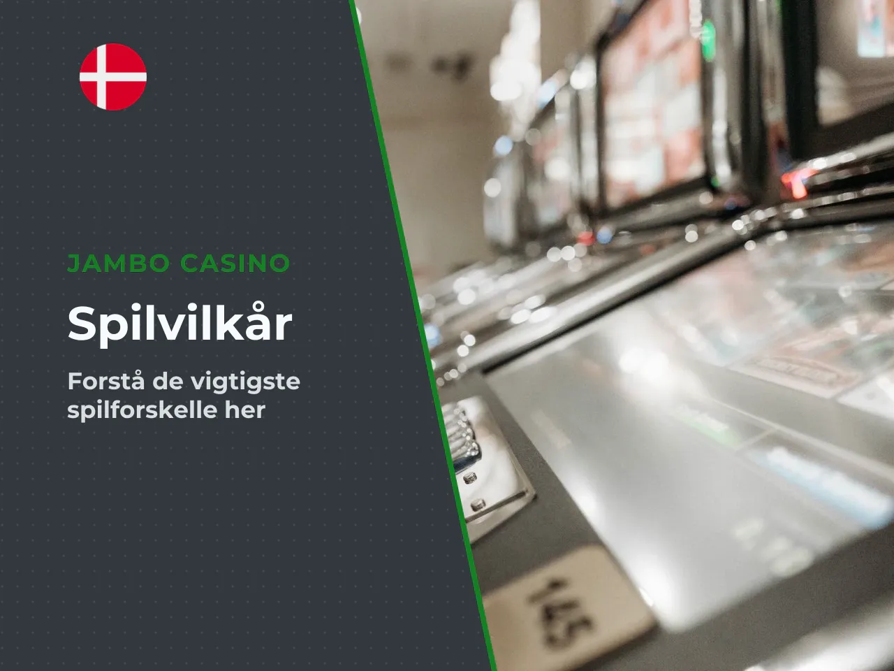 Hvorfor betyder det noget for danske