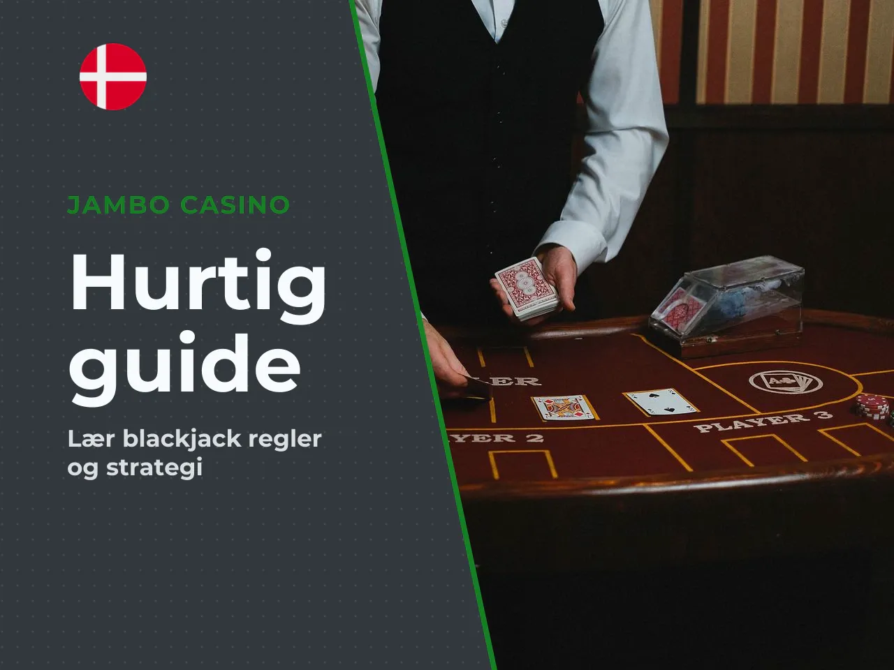 De vigtigste punkter i kort form