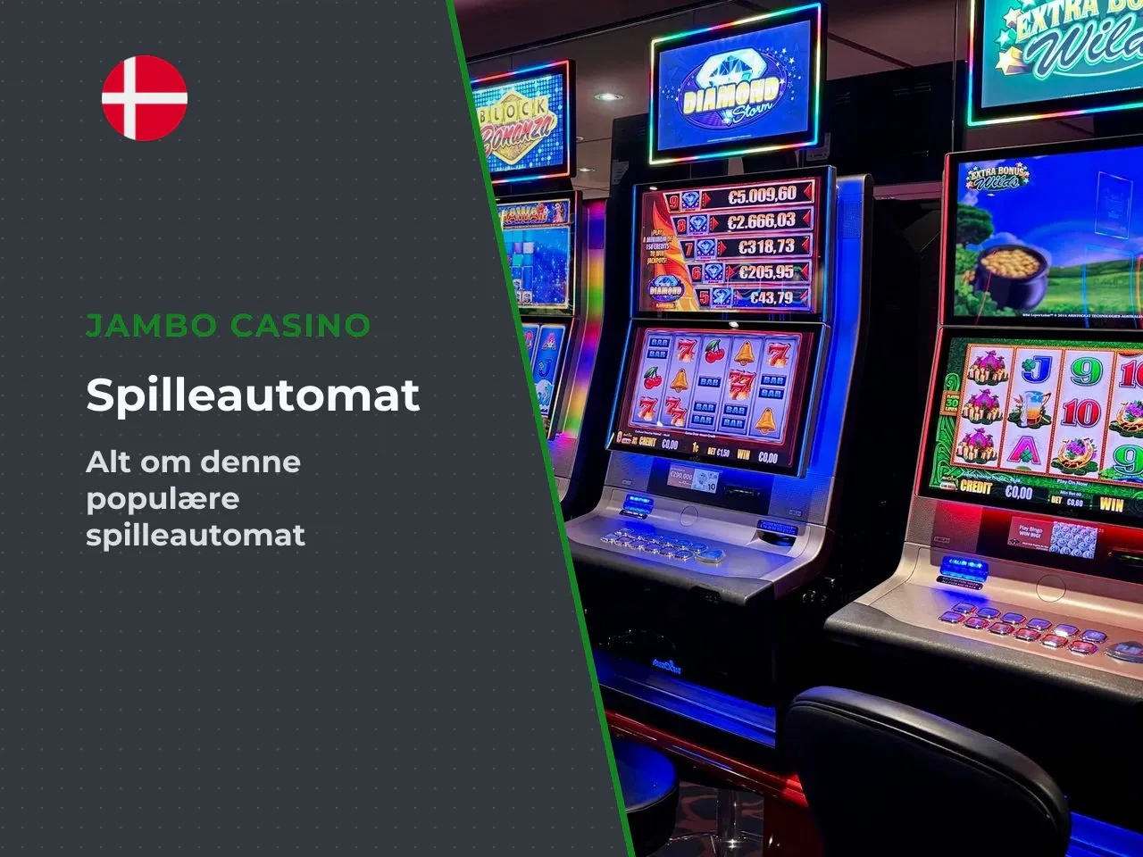 Hvad er Big Bass Bonanza slot
