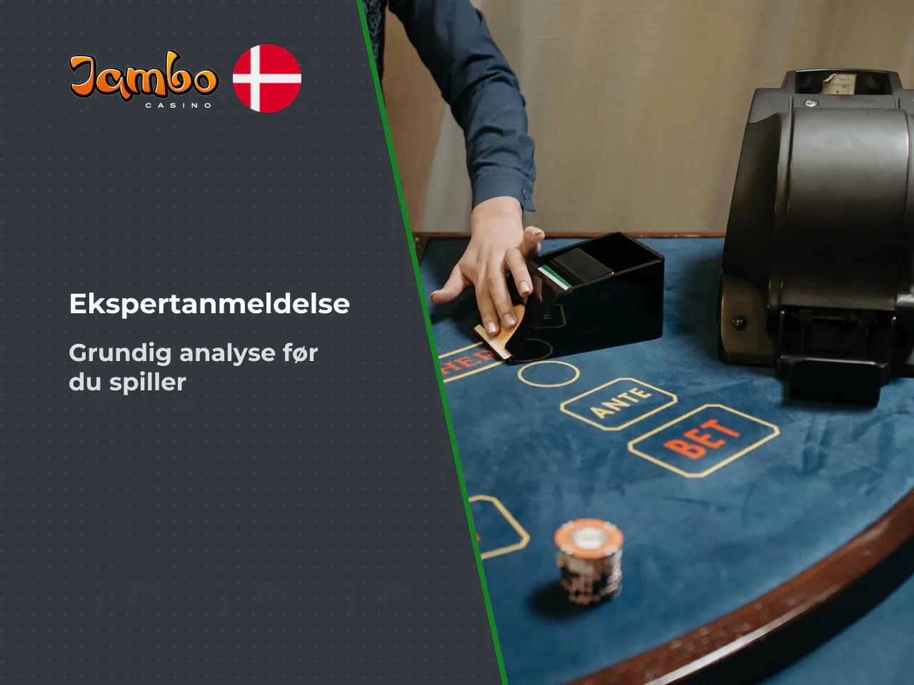 Sådan bruges anmeldelsen før du spiller