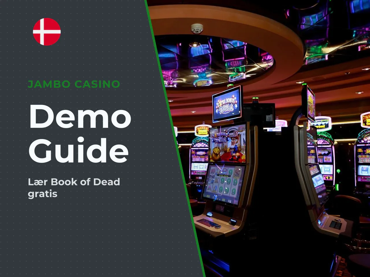 Sådan fungerer Book of Dead demo