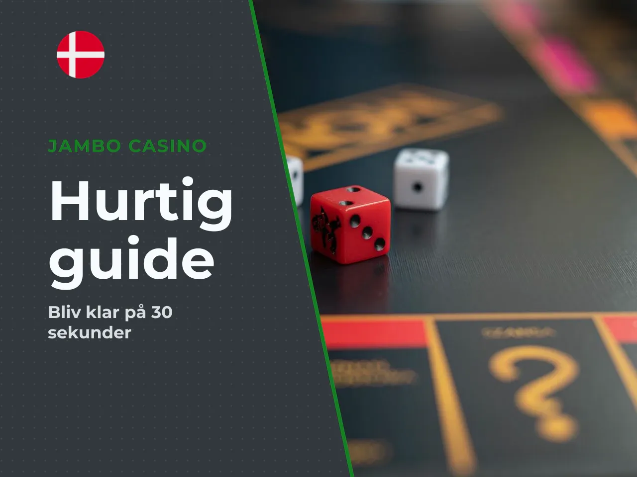 Det vigtigste på 30 sekunder