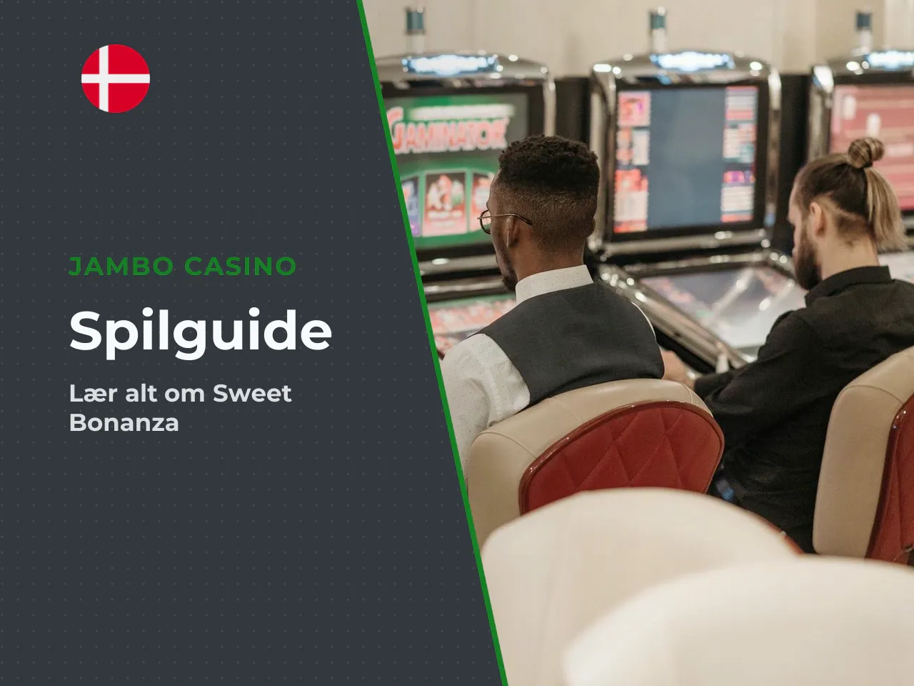 Hvem er denne guide skrevet til