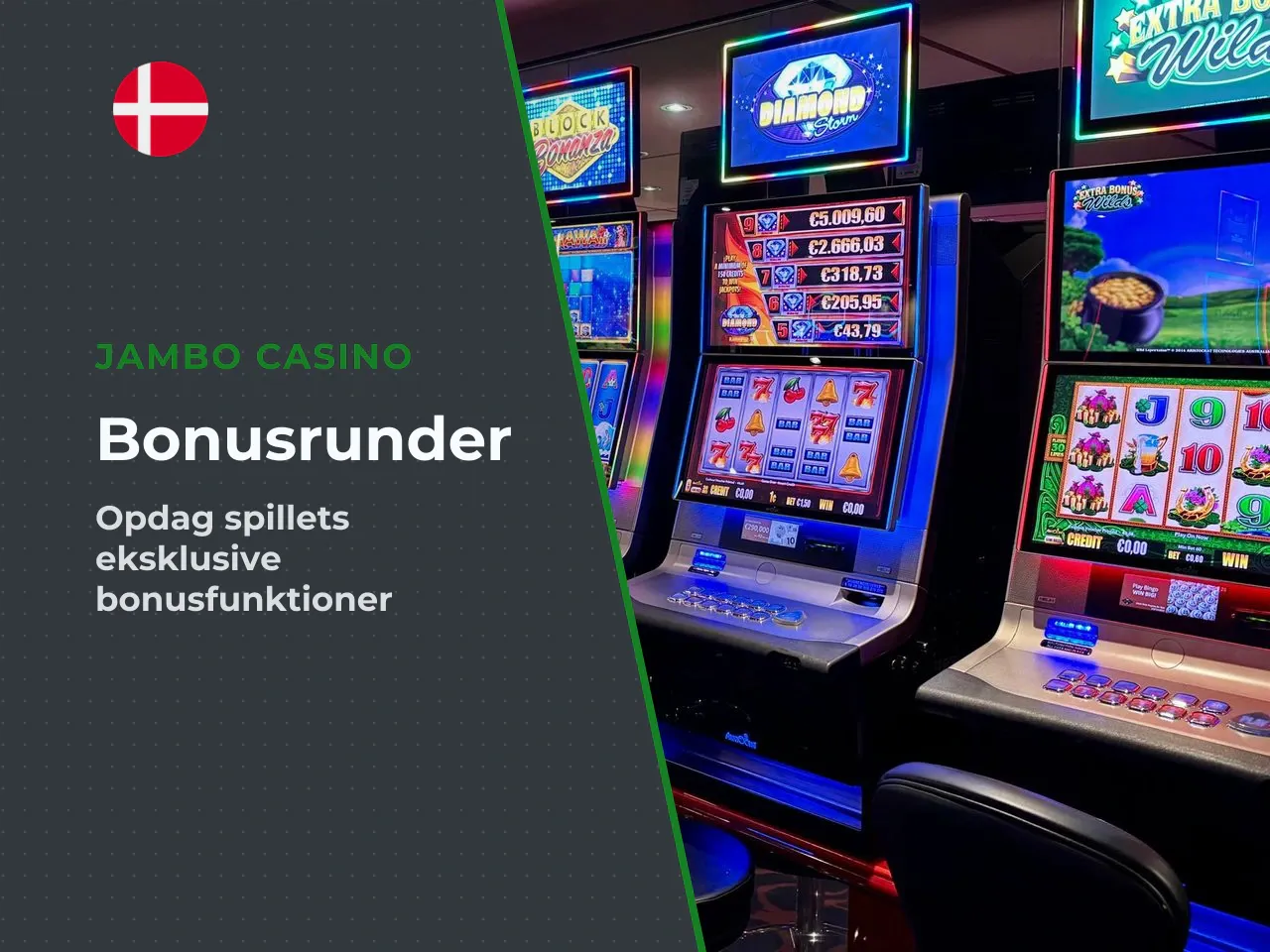 Spillet indeholder tre bonusrunder med free