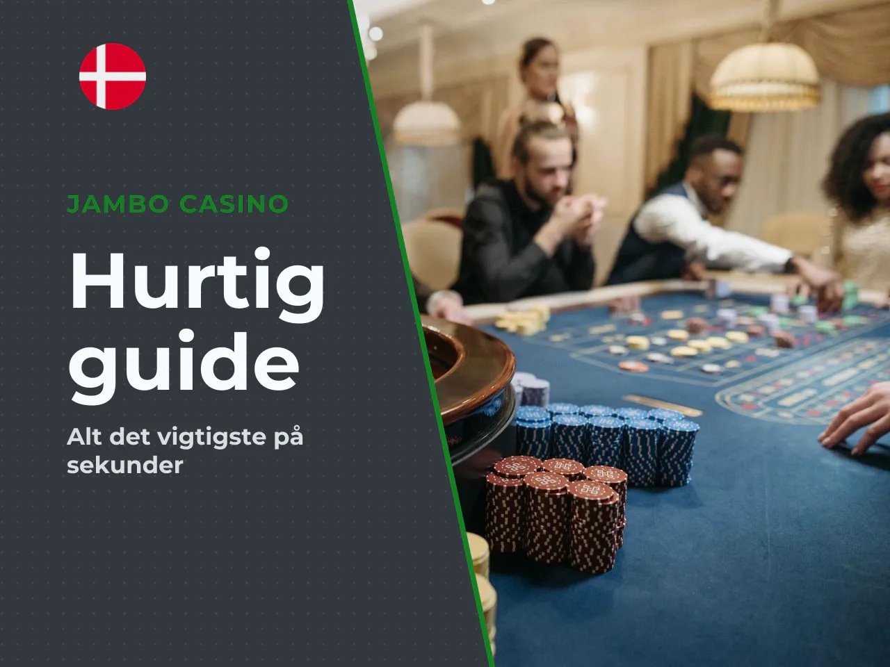 Det vigtigste på 30 sekunder