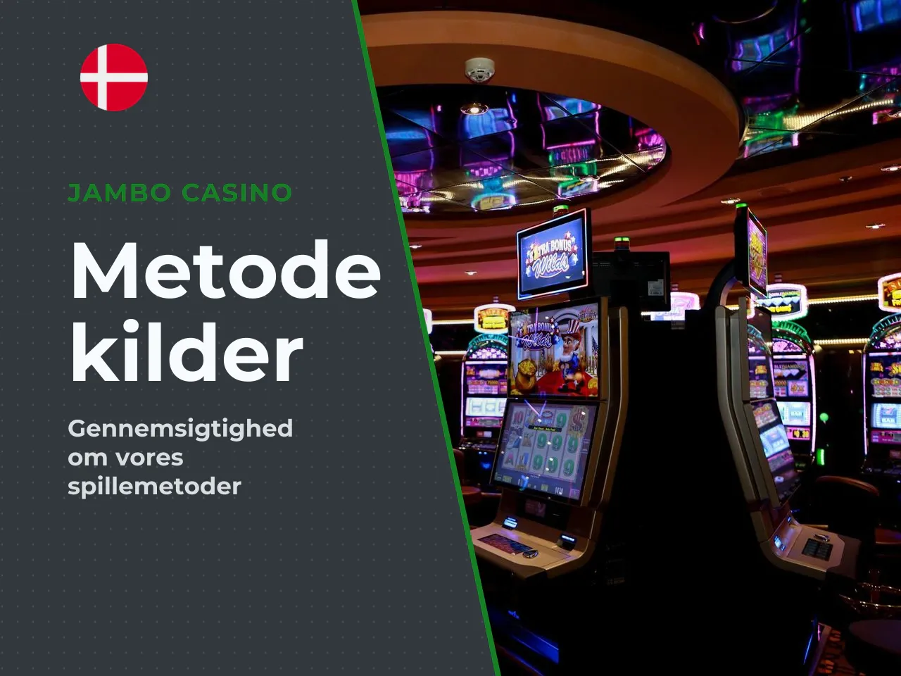 Bilag A kilde- og metodenoter