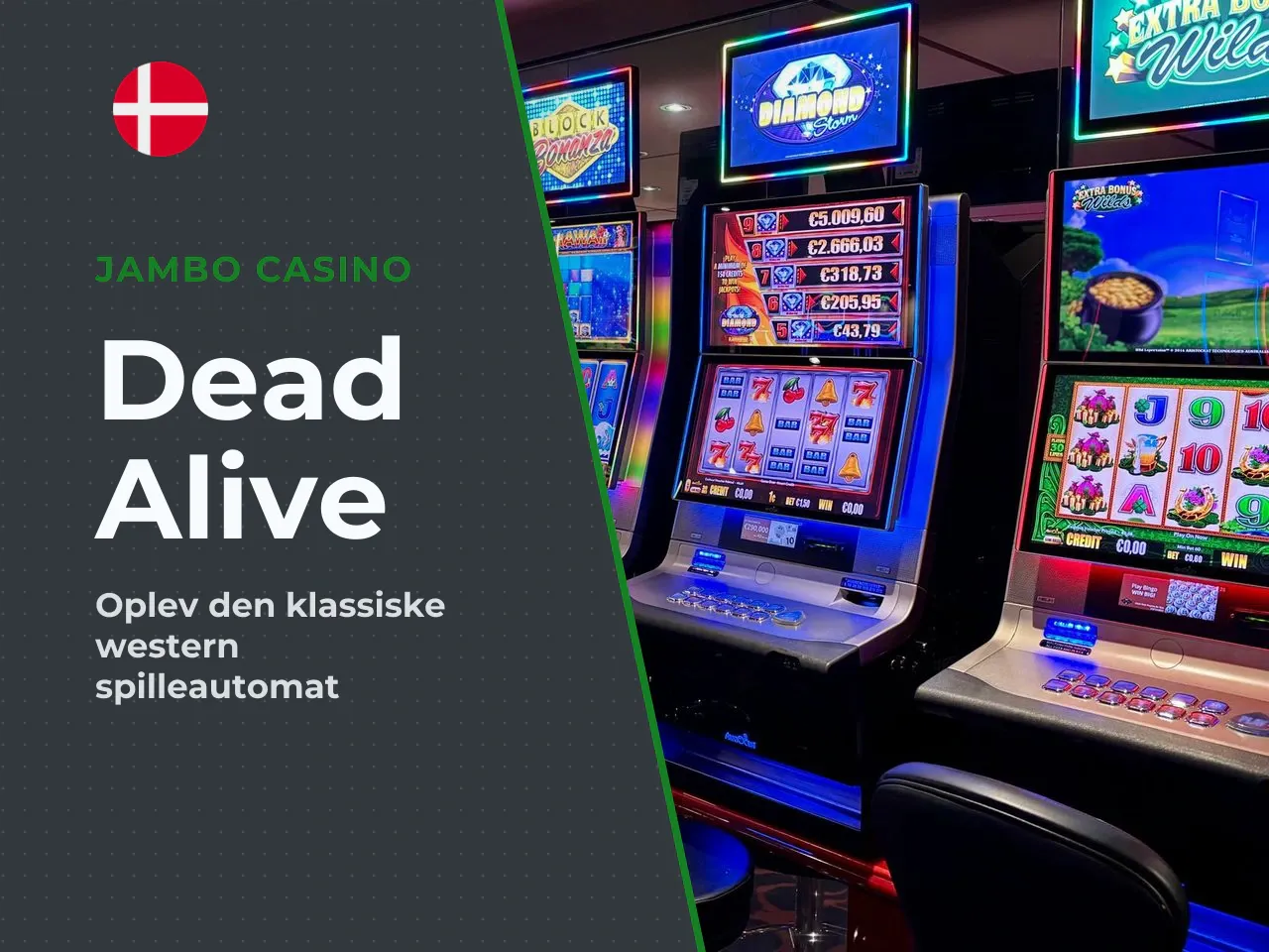 Hvad er Dead or Alive slot