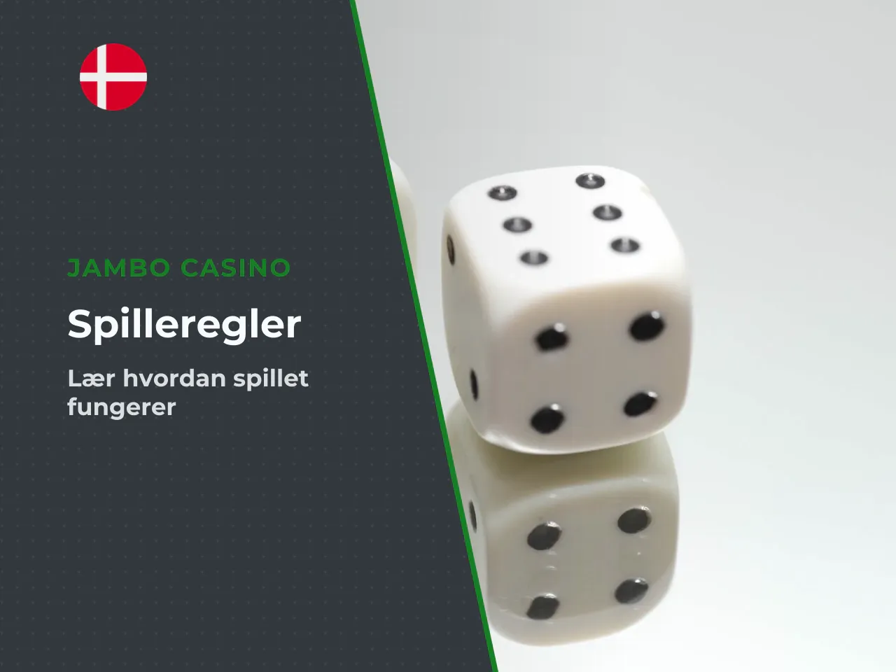 Sådan fungerer de 20 balls og