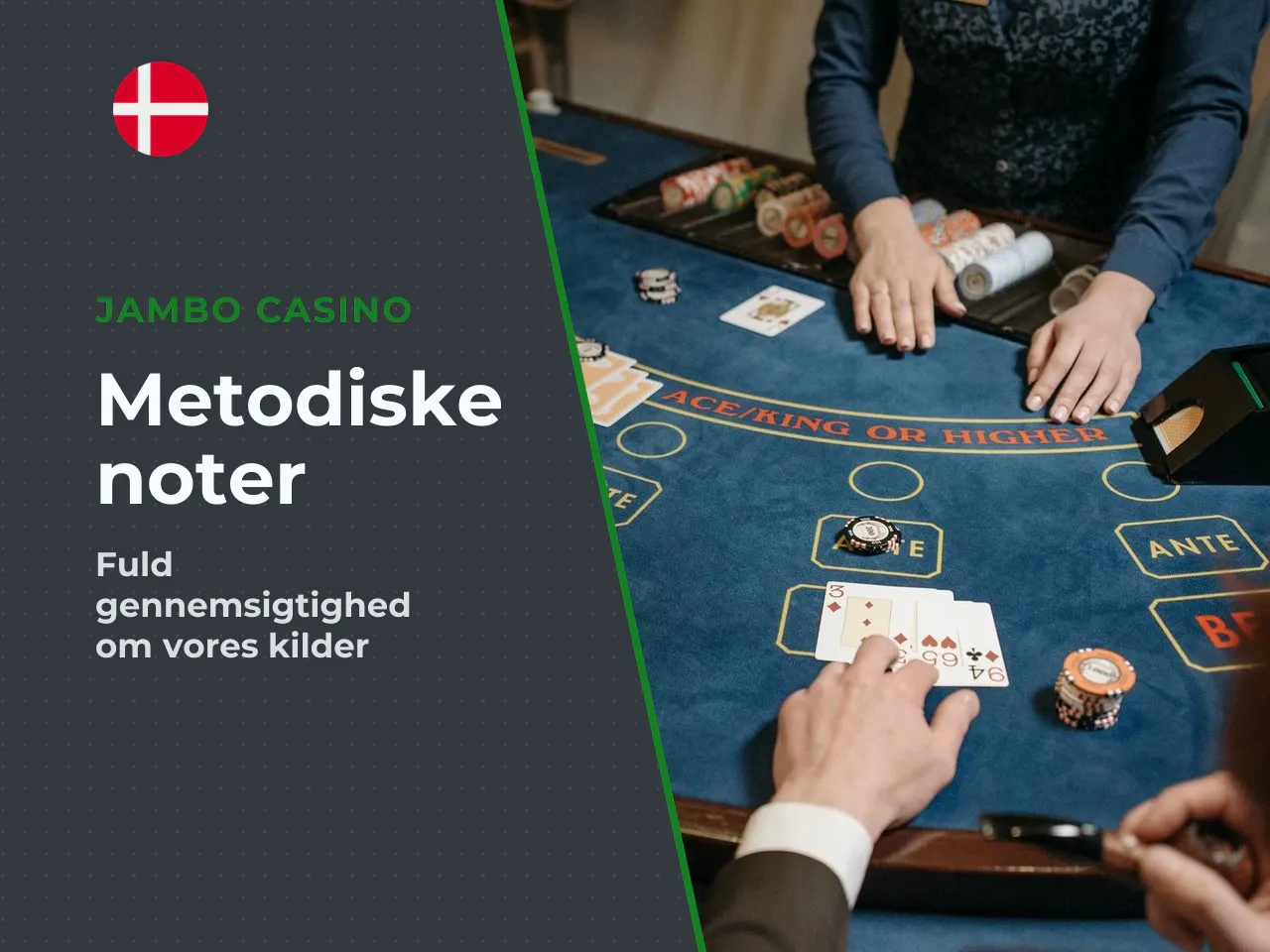 Bilag A kildenoter, metodiske forbehold og