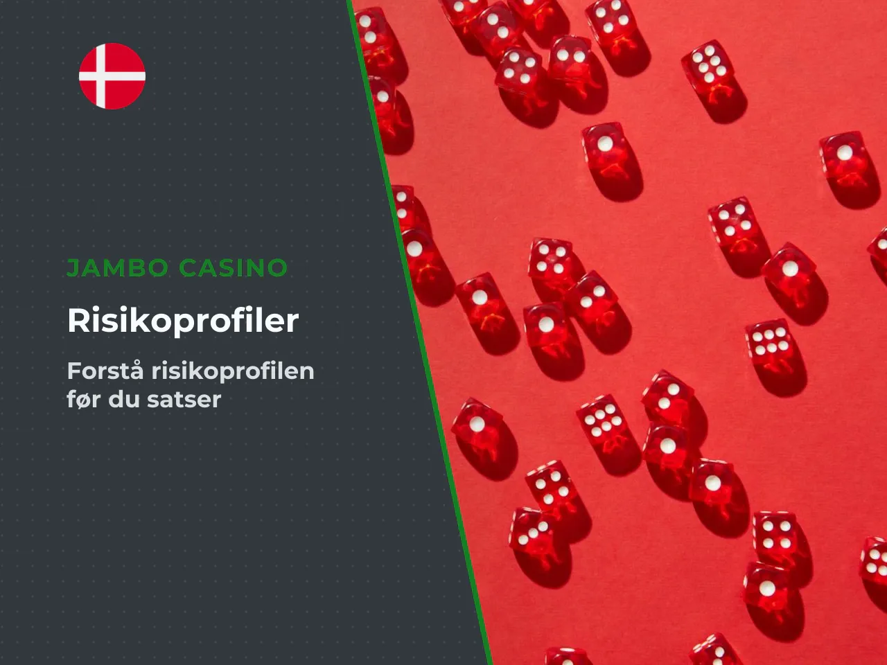 Tabel 1 Redaktionel illustration af risikoprofiler