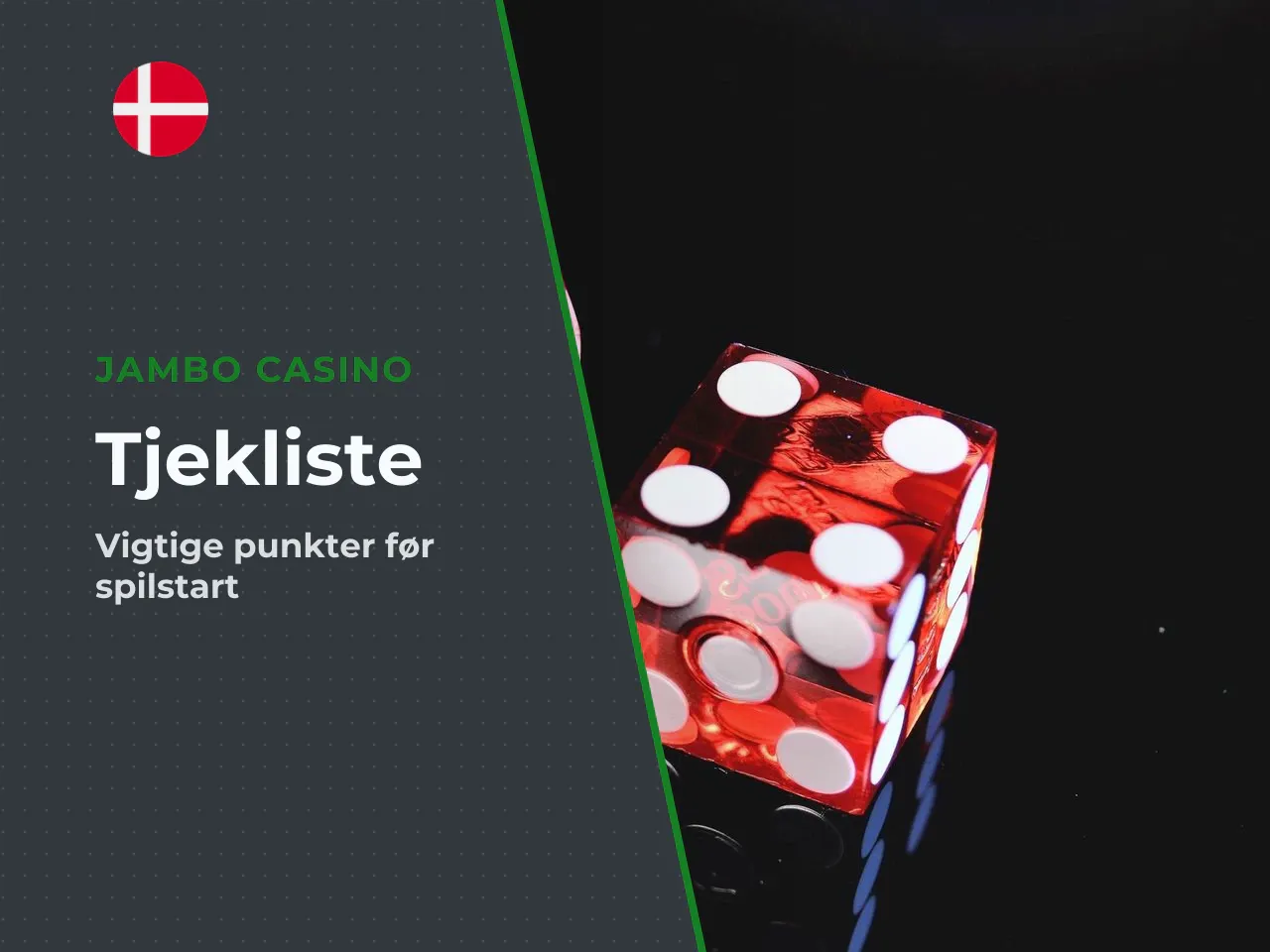 Hvad du skal tjekke, før du