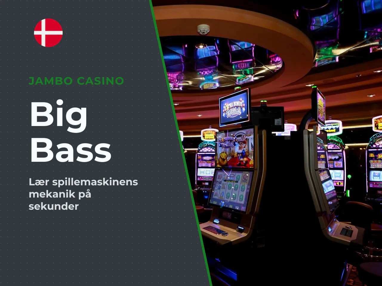 Big Bass Bonanza på 30 sekunder