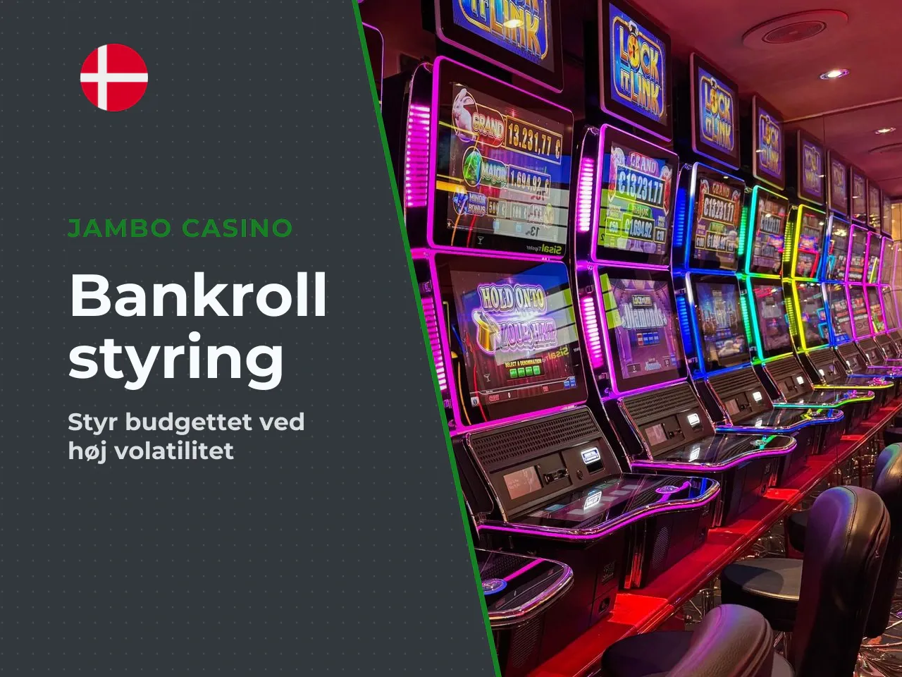Bankroll-management ved høj volatilitet. Book of