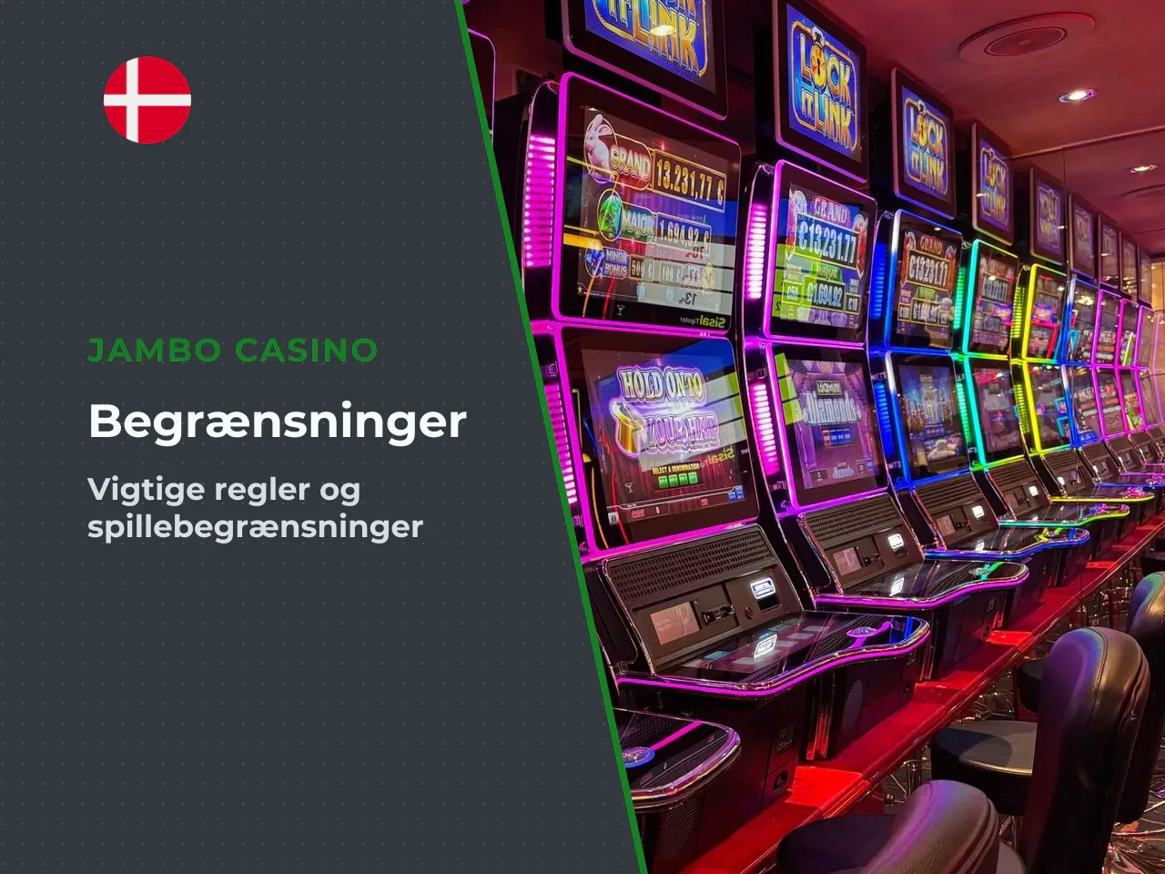 Begrænsninger