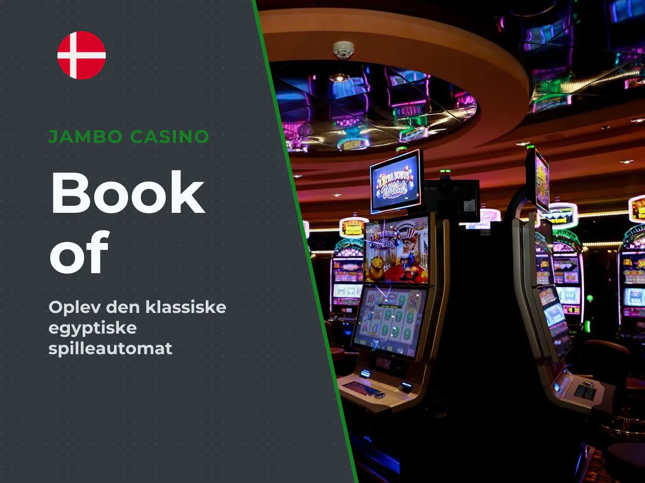 Hvad er Book of Ra slot